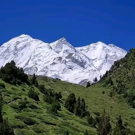 Rakaposhi
