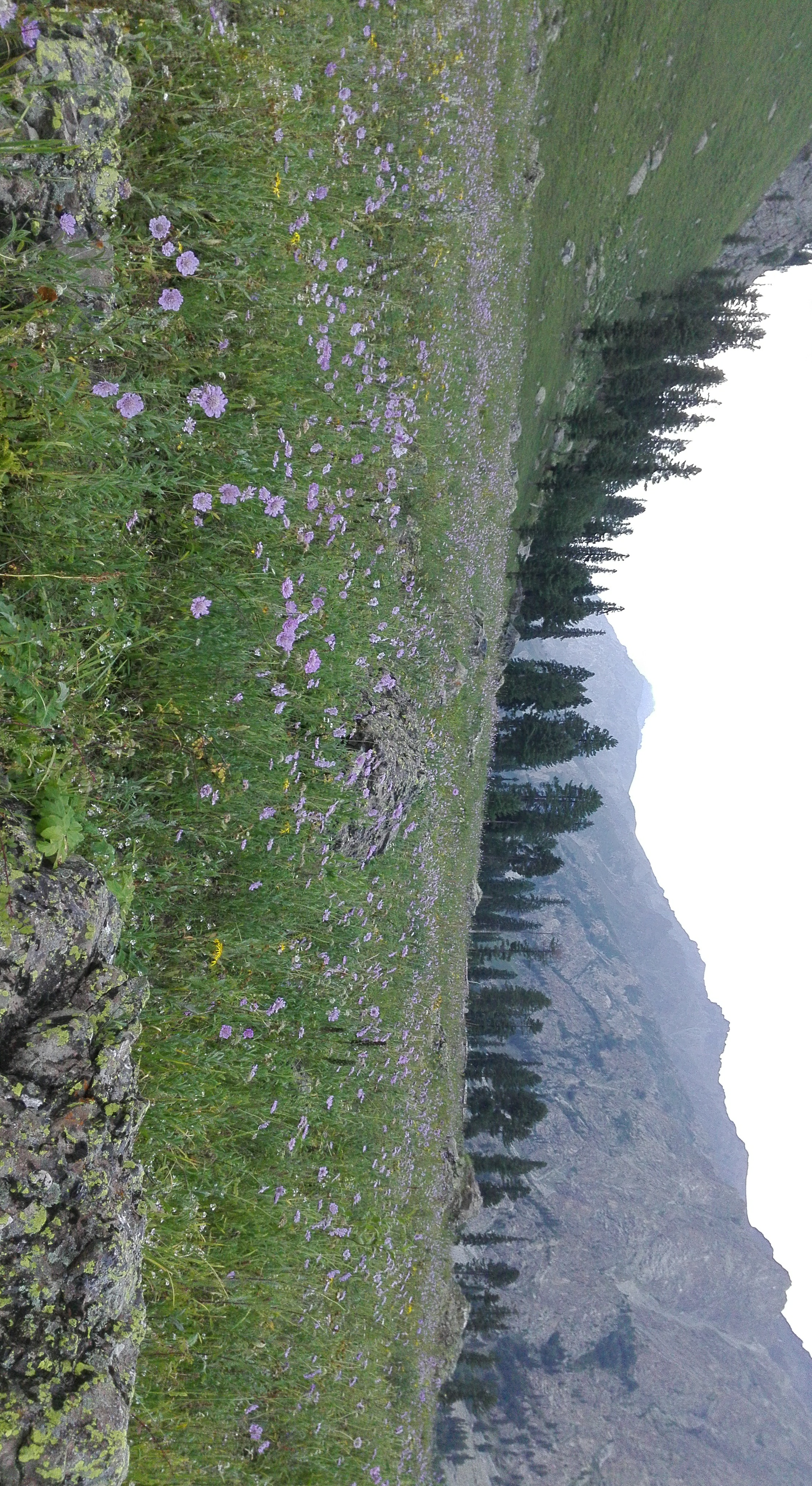 Skardu Valley
