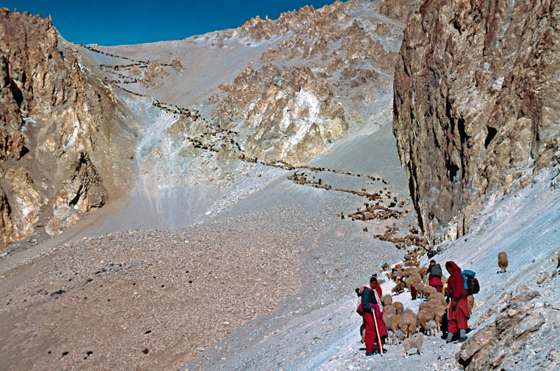 Shimshal Pass
