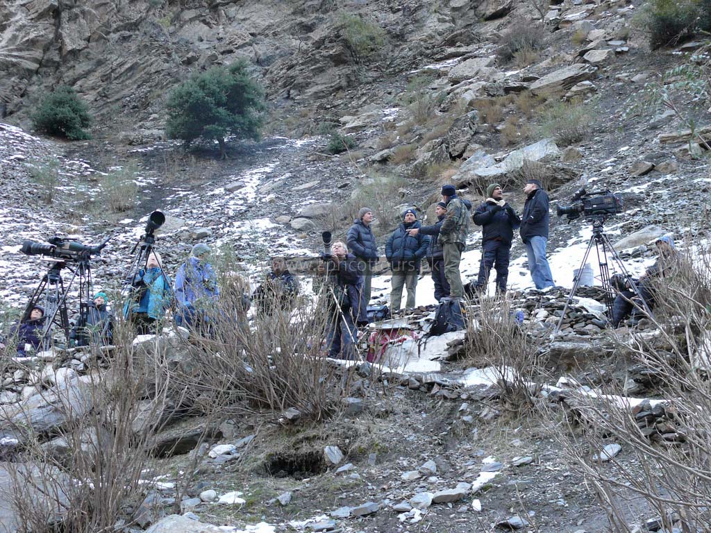 Chitral Gol
